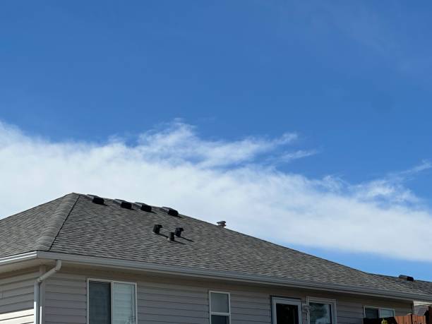 Best Roof Installation  in Van Alstyne, TX